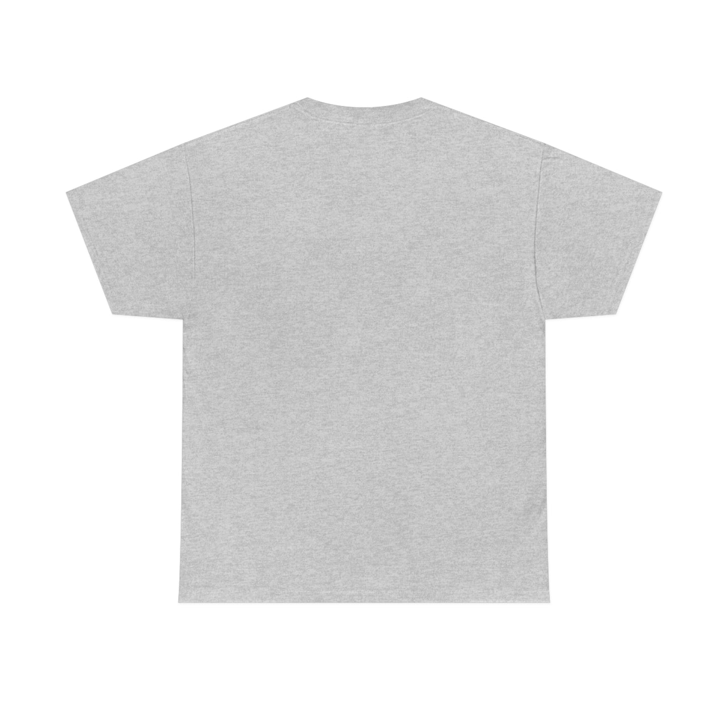 I Write Books Unisex Heavy Cotton Tee