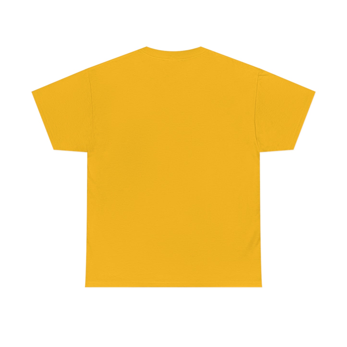 I Write Books Unisex Heavy Cotton Tee